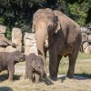 Foto: Tereza Mrhálková, Zoo Praha.