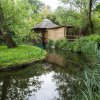 Nový pavilonek pro kotuly veverovité vznikl v expozičním celku Vodní svět a Opičí ostrovy v dolní části Zoo Praha. Foto: Tereza Mrhálková, Zoo Praha.