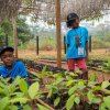 Olvie Missoula and Davilla Ntsemenke in Kabilon in a nursery with coconut seedlings. Photo: Khalil Baalbaki, Prague Zoo.