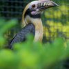 Foto: Petr Hamerník, Zoo Praha