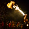 Lampionový průvod bude ukončen ohnivou show v Údolí slonů. Autor: Petr Hamerník, Zoo Praha
