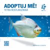 Tetra rostlinožravá, kampaň Adoptuj mě!