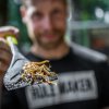Během Víkendu hmyzožravců v Zoo Praha můžete ochutnat a zakoupit nejrůznější hmyzí pokrmy. Foto Petr Hamerník, Zoo Praha