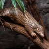 Foto: Oliver Le Que, Zoo Praha