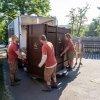 Zubří samice Prixi odjíždí na Kavkaz, kde se má stát jednou ze zakladatelek nově obnovené populace zubrů. Foto: Oliver Le Que, Zoo Praha 