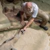 S velmi citlivým UVB metrem v ruce v těchto dnech ve výběhu varanů komodských v Zoo Praha zkouší rozsah nových světelných zdrojů kurátor plazů Petr Velenský. Foto: Tereza Mrhálková, Zoo Praha.
