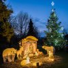 V pražské zoo už svítí vánoční strom. V neděli v podvečer jej rozsvítil ředitel Zoo Praha Miroslav Bobek, který přivítal návštěvníky vánoční zdravicí. Autor: Petr Hamerník, Zoo Praha