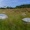 Prostorově velkorysá stavba je citlivě zasazena do terénu a neruší pohled na Sklenářku. Biotop na střeše tvoří bohatá vegetace a pavilon tak navazuje na okolní louky. Foto Petr Hamerník, Zoo Praha