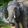 Foto Petr Hamerník, Zoo Praha