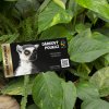 Dárkový poukaz na roční vstupenku je ideálním vánočním dárkem pro příznivce Zoo Praha a její časté návštěvníky. Foto Zoo Praha