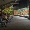 Nový pavilon goril Zoo Praha – Rezervace Dja – bude mít pro velký zájem veřejnosti dočasně prodlouženou otevírací dobu do 20 hodin. Foto Petr Hamerník, Zoo Praha