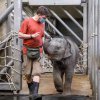 Foto: Miroslav Bobek, Zoo Praha