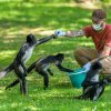 Veškerý výtěžek z benefičních prohlídek jde na podporu ukrajinských zoo. Na fotografii vrchní chovatel Martin Vojáček při krmení chápanů středoamerických. Foto Petr Hamerník, Zoo Praha