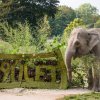 Foto: Petr Hamerník, Zoo Praha
