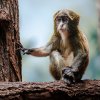 Foto Tereza Šolcová, Zoo Praha