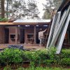 Součástí nově spuštěného záchranného programu Trenggiling Conservation Program je i vybudování specializovaného záchranného a rehabilitačního centra pro luskouny na Sumatře. Autor: Jennie Simanjuntak
