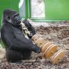 Foto Miroslav Bobek, Zoo Praha