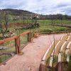 Venku je pro návštěvníky vybudováno hlediště, ze kterého budou moci pozorovat rodinnou skupinu goril nížinných. Foto Petr Hamerník, Zoo Praha