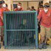 Skupinu samic doplní v novém pavilonu i šestiletý samec Ajabu. Foto Petr Hamerník, Zoo Praha