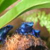 Foto Petr Hamerník, Zoo Praha