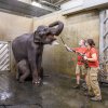 Foto: Miroslav Bobek, Zoo Praha