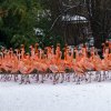 Foto Petr Hamerník, Zoo Praha