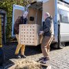 Tým Zoo Praha nakládá v dánské metropoli transportní bednu se samicí vombata obecného Winkleigh před téměř 800 kilometrů dalekou cestou. Foto Oliver Le Que, Zoo Praha