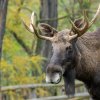 Foto: Petr Hamerník, Zoo Praha