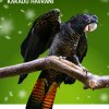 Foto Zoo Praha