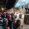 Foto Khalil Baalbaki, Zoo Praha