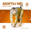 Makak vepří, kampaň Adoptuj mě!