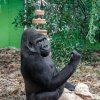 Foto Miroslav Bobek, Zoo Praha