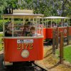 Po 12. hodině bude obnoven provoz oblíbené dětské tramvajky. Jako první se v ní svezou děti, které v rámci módní přehlídky předvedou dětskou verzi uniforem zaměstnanců Zoo Praha. Foto Petr Hamerník, Zoo Praha