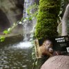 Dárkový poukaz na roční vstupenku je ideálním vánočním dárkem pro příznivce Zoo Praha a její časté návštěvníky. Foto Zoo Praha