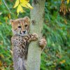 Foto: Petr Hamerník, Zoo Praha