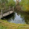 Typickým biotopem karase obecného jsou drobné tůně a nádrže, kde je často jedinou rybou schopnou přežít. Zde ukázka návesního rybníčku u Dětské zoo v Zoo Praha, ve kterém se karasům obecným daří. Foto Petr Hamerník, Zoo Praha