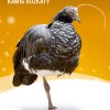 Kamiš růžkatý, adopční kampaň Zoo Praha, Foto Petr Hamerník, Zoo Praha