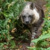 Foto: Petr Hamerník, Zoo Praha
