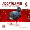 Hoko červenolaločnatý, kampaň Adoptuj mě!
