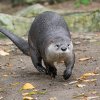 Foto: Petr Hamerník, Zoo Praha