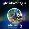 Světelná výstava s názvem Divoká Asie již brzy rozzáří pražskou zoologickou zahradu. Zdroj Zoo Praha