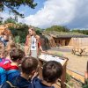 Spolu s výhodným vstupným mohou školní skupiny využít i komentovaných prohlídek a vybrat si ze široké nabídky témat. Foto Oliver Le Que, Zoo Praha