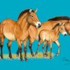 Pohlednici zdobí oficiální vizuál letošního transportu od českého přírodovědce a ilustrátora Jana Dungela. Zachycuje skupinu koní Převalského, která má symbolizovat cílový stav projektu – fungující populaci koní Převalského v oblasti Altyn Dala. Podk