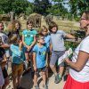 Spolu s výhodným vstupným mohou školní skupiny využít i tematických komentovaných prohlídek Zoo Praha – máte zájem o primáty, kopytníky, ptáky nebo třeba etologii? Foto Petr Hamerník, Zoo Praha
