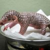 V porovnání s loni narozenou samičkou luskouna Šiškou je letošní mládě nejen houževnatější, ale především matka Run Hou Tang má nyní dostatek mateřského mléka. Foto Petr Hamerník, Zoo Praha
