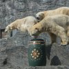 Velikonoce u medvědů, foto: Václav Šilha, Zoo Praha