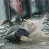 Velikonoce u medvědů, foto: Václav Šilha, Zoo Praha
