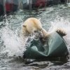Velikonoce u medvědů, foto: Václav Šilha, Zoo Praha