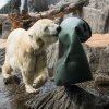 Velikonoce u medvědů, foto: Václav Šilha, Zoo Praha