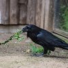 Velikonoční nadílka, foto: Václav Šilha, Zoo Praha